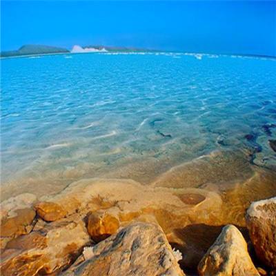 金沙8888js官方手机app下载