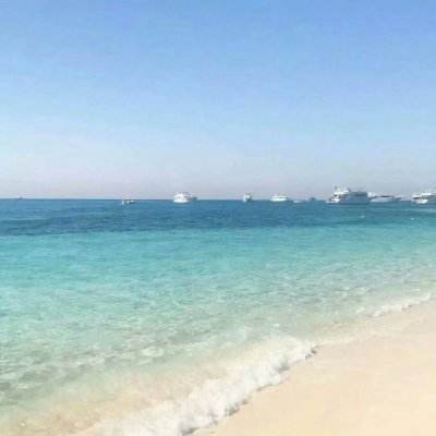 帝一娱乐app下载