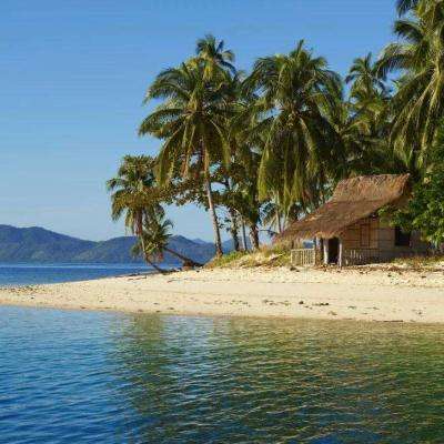 万博体育APP网址