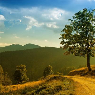 威斯尼斯人wns8888